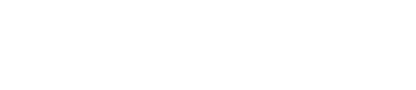 TOP LEVEL